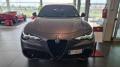 usato ALFA ROMEO Stelvio