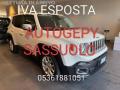 usato JEEP Renegade
