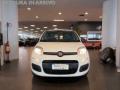 usato FIAT Panda