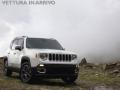 usato JEEP Renegade