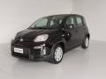 usato FIAT Panda