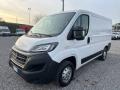 usato FIAT Ducato