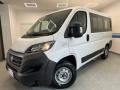 usato FIAT Ducato