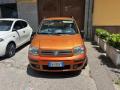 usato FIAT Panda