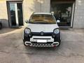 usato FIAT Panda Cross
