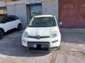 usato FIAT Panda