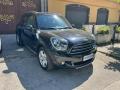 usato MINI Countryman