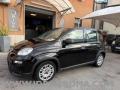 usato FIAT Panda