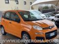 usato FIAT Panda