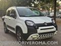 usato FIAT Panda
