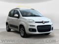 usato FIAT Panda