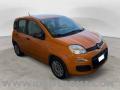 usato FIAT Panda