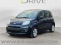 usato FIAT Panda