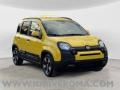 usato FIAT Panda Cross