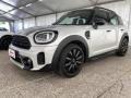 usato MINI Countryman