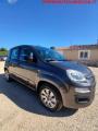 usato FIAT Panda