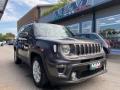 usato JEEP Renegade