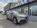 usato ALFA ROMEO Stelvio