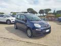 usato FIAT Panda