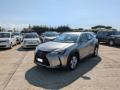 usato LEXUS UX 250h