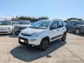 usato FIAT Panda