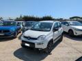 usato FIAT Panda