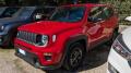 usato JEEP Renegade