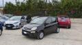 usato FIAT Panda