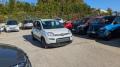 usato FIAT Panda