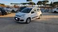 usato FIAT Panda