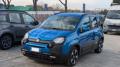 usato FIAT New Panda