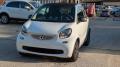 usato SMART ForTwo