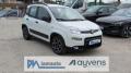 usato FIAT Panda