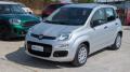 usato FIAT Panda