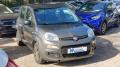 usato FIAT Panda