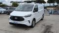 usato FORD Transit Custom