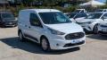 usato FORD Transit Connect
