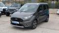 usato FORD Tourneo Connect