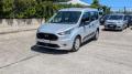 usato FORD Transit Connect