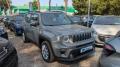 usato JEEP Renegade