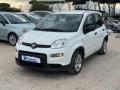 usato FIAT Panda
