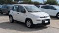 usato FIAT Panda