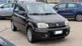 usato FIAT Panda