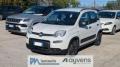 usato FIAT Panda