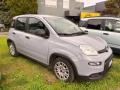 usato FIAT Panda