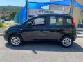usato FIAT Panda