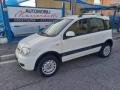 usato FIAT Panda