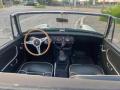 usato AUSTIN Healey
