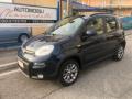 usato FIAT Panda