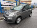 usato FIAT Panda